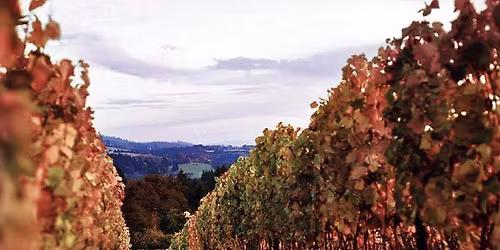 Pre-Thanksgiving Pick up Party