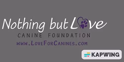 Adoption Clinic Petsmart Rensselaer with NBLCF pups!