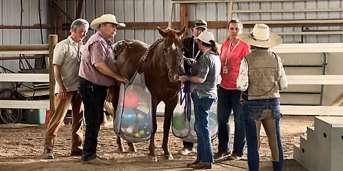 Faith Based Equine Assisted Philosophy: REST2.0 - Healing and Deliverance