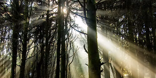 Connecting to Your Ancestral Lineage
