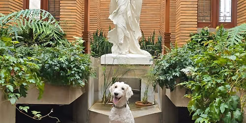 Paws on the Prairie (Style) Pet Event