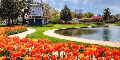 PELLA TULIP FESTIVAL 