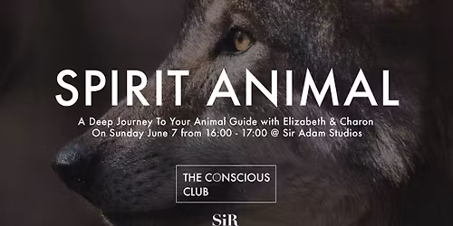 Spirit Animal \u0e51 A Deep Journey To Your Animal Guide