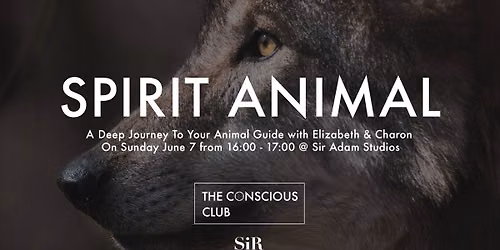 Spirit Animal \u0e51 A Deep Journey To Your Animal Guide