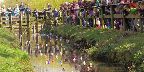Duck Race Weekend at Martin Mere