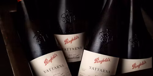 Penfolds x Goldfish | 7-Course Wine Pairing Dinner