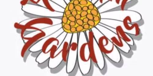 Expressive Arts Therapy: Mindful Circles 