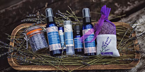 Bishop Spring Lavender at Beardstown Christkindlmarkt