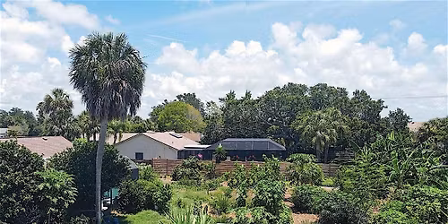 Growing Tropical Fruit Trees in Your Yard