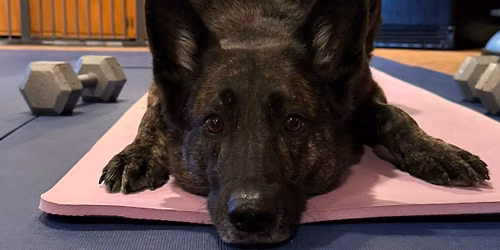 Mat Pilates