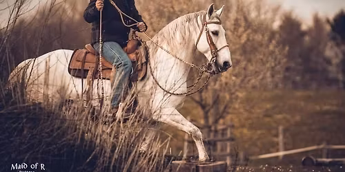 Turniervorbereitung mit Rolf Janzen