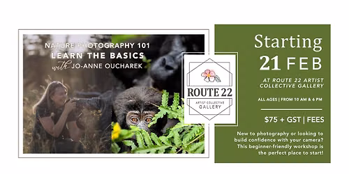 Nature Photography 101