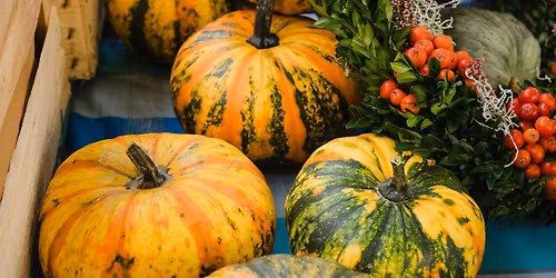 Bad D\u00fcrkheimer Bauernmarkt 2026