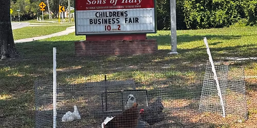 Semi Annual Deltona Children Business Fair
