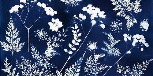 Cyanotype Printing on Clothing