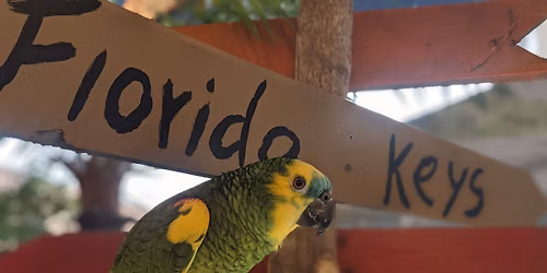 September Florida Keys Trip
