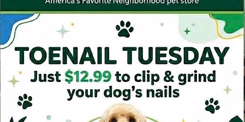 Toe Nail Tuesday 4-7PM