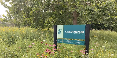 Meadow Flower and Pollinator Walk