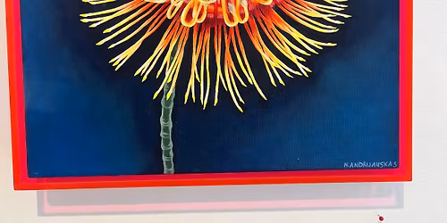 WonderMonday wsg Wisebone