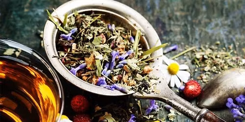 Atelier herboristerie : \u00e9laborez vos tisanes avec vos plantes !