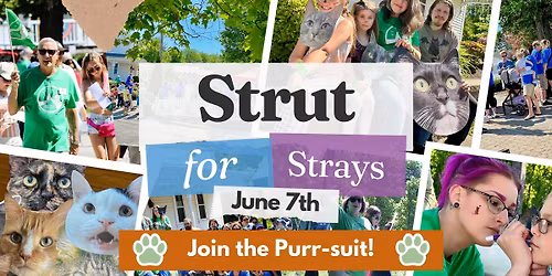 2026 Strut for Strays