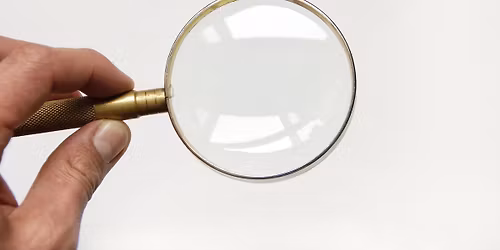 Op ontdekking in de duinen, op zoek naar woekerplanten. Help jij mee?