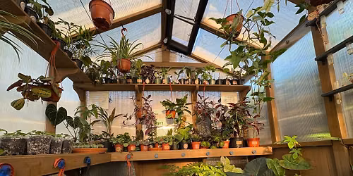Wicked Roots FL Plant Sale 