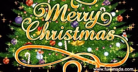 Private Christmas Party