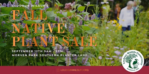 Fall Native Plant Sale at Morven Park