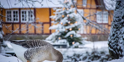 Historisk jul p\u00e5 Hjerl Hede: 13. \u2013 14. december 2025