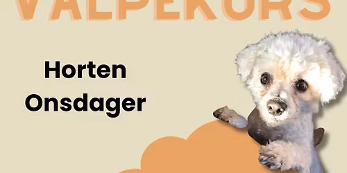 Valpekurs Horten onsdager