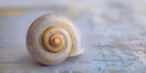 Ro til n\u00e6rv\u00e6r - B\u00f8n i bev\u00e6gelse