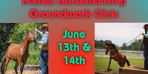Hames Horsemanship Groundwork Clinic