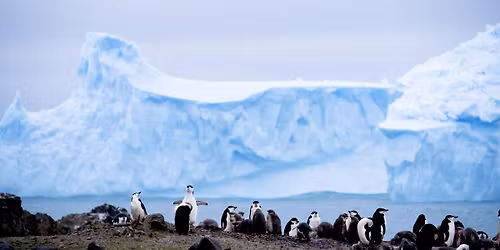 Building on the Edge