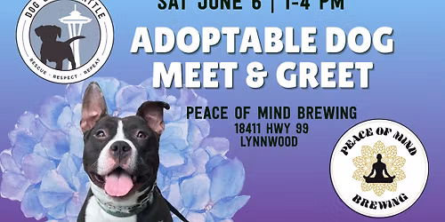 Adoptable Dog Meet & Greet at Peace of Mind Brewing