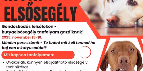 ELS\u0150SEG\u00c9LY TANFOLYAM A KUTYAUSZIBAN