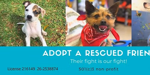 pet Supermarket Adoptions