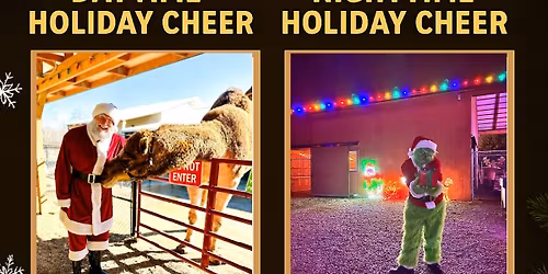 Holiday Cheer at Majestic Meadows