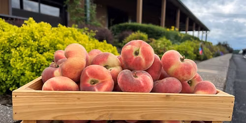 Peach Festival