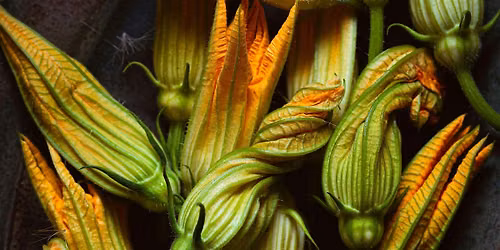Exploring Indigenous Worldview through Traditional Foodways