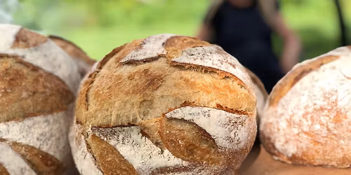 Organic Sourdough Bread Popup
