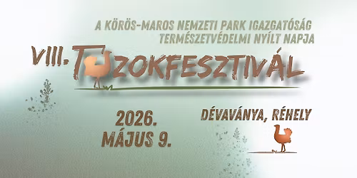 VIII. T\u00fazokfesztiv\u00e1l