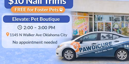 $10 Nail Trims - FREE for Fosters at Elevate: Pet Boutique Oklahoma City