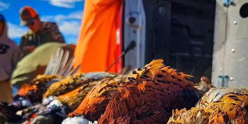 2026 Western Nebraska Ringneck\u2019s Annual Banquet 