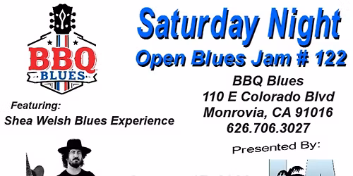 LABS Jam #122 at BBQ Blues with Shea Welsh Blues Experience
