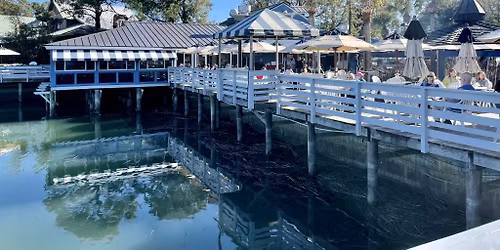 Saltydog at Turf Club