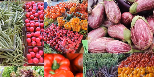 Rockville Farmers Market Opening Day