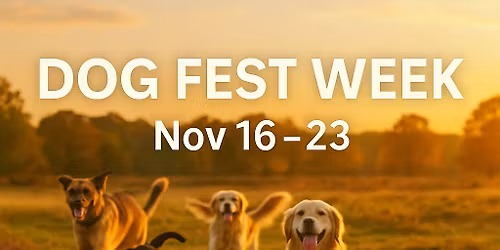 Finale! Dog Fest Week!