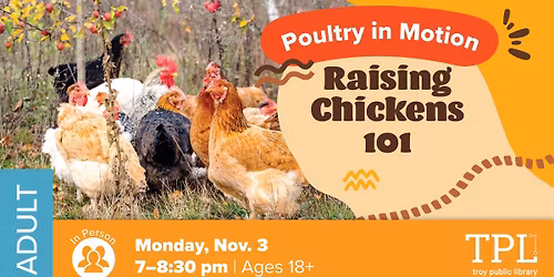 Poultry in Motion: Raising Chickens 101