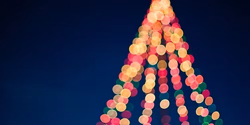 Langford Village Christmas Light Switch On